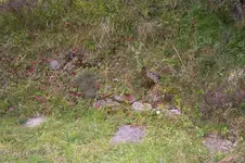 K800_100_0995.webp