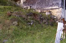 K800_100_0991.webp