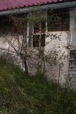 K800_100_0985.webp