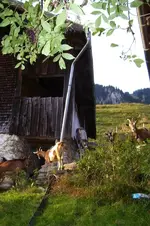 K800_100_0979.webp
