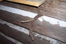 K800_100_1001.webp