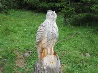 Bild 106 Zanser Alm.webp