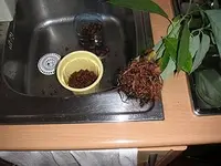 0008.webp