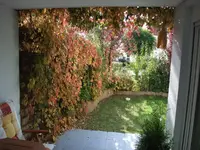 DSCF1282.webp
