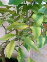 Bild105.webp