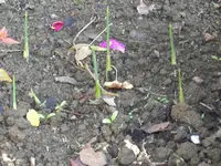 PIC_0196.webp