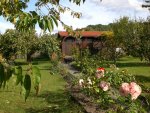 Garten im Oktober 027.jpg