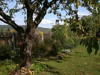 Garten im Oktober 028.webp