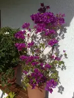 04102008052.webp