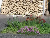 Frühling.webp
