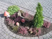 Herbst.webp