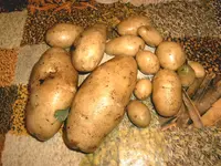 IMAG0109.webp