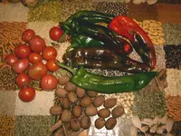 IMAG0114.webp