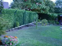 RIMG0010.webp
