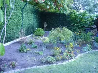 RIMG0014.webp