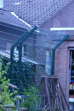 RIMG0019.webp