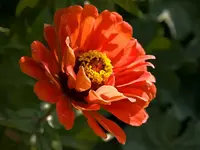 78_gr.webp