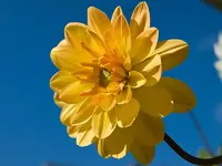 77_gr.webp