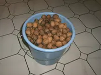 IMAG0119.webp