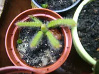 DSCF3875.webp