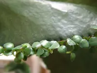 DSCF3728.webp