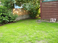 100_0681.webp