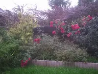 PIC00215.webp