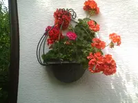 PIC00096.webp