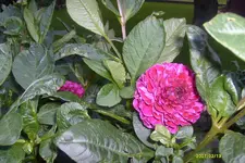 S6300841.webp