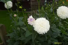 S6300846.webp