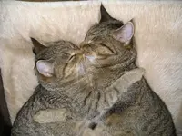 Geschwisterliebe 1.webp