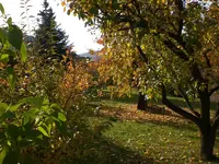 Garten im Oktober 038.webp