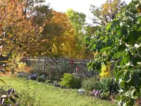 Garten im Oktober 037.webp