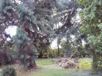 IMAG0006_001.webp