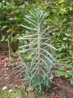 100RI-RIMG0055_RIMG0055.webp