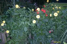 S6300840.webp