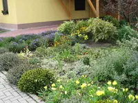 Bild 2008_09 004.webp