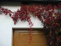 Bild 2008_10 003.webp