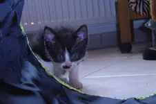 RIMG0006.webp