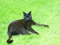 PIC_0017.webp