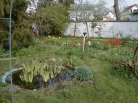 P4100005.webp