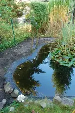 Haus_10_2008_16.webp