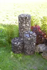 K800_100_1059.webp