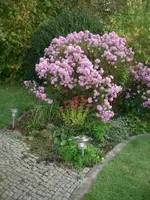 CIMG4427.webp