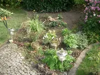 CIMG4453.webp