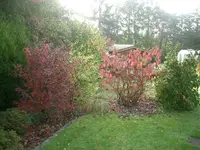 CIMG4430.webp