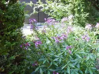 IMG_0002.webp