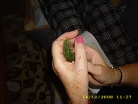 Test 758.webp