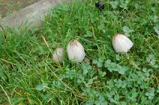 2008-10-12_0762.JPG