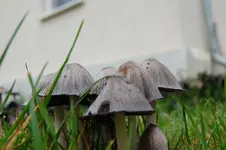 2008-10-12_0773.JPG